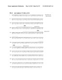 Antibodies Specific to Cadherin-17 diagram and image