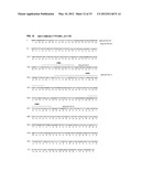 Antibodies Specific to Cadherin-17 diagram and image