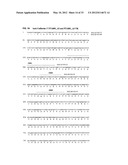 Antibodies Specific to Cadherin-17 diagram and image