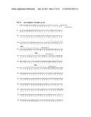 Antibodies Specific to Cadherin-17 diagram and image