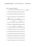 Antibodies Specific to Cadherin-17 diagram and image