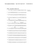 Antibodies Specific to Cadherin-17 diagram and image