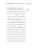 Antibodies Specific to Cadherin-17 diagram and image