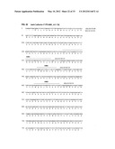 Antibodies Specific to Cadherin-17 diagram and image