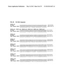 Antibodies Specific to Cadherin-17 diagram and image