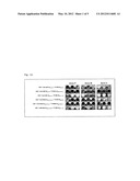 USE OF SPECIFIC PEPTIDES IN THE PREPARATION OF A MEDICAMENT FOR THE     TREATMENT OF MONOCLONAL GAMMOPATHY OF UNDETERMINED SIGNIFICANCE (MGUS) OR     OF SMOLDERING MULTIPLE MYELOMA (SMM) diagram and image