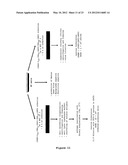 Nucleic Acid Encoding TGEV and PRRSV Sequences for Improved Expression of     PRRSV Sequences diagram and image