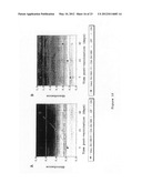 Nucleic Acid Encoding TGEV and PRRSV Sequences for Improved Expression of     PRRSV Sequences diagram and image