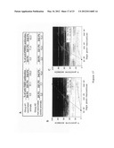 Nucleic Acid Encoding TGEV and PRRSV Sequences for Improved Expression of     PRRSV Sequences diagram and image