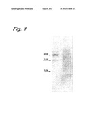 EXTERNAL USE COMPOSITION FOR SKIN diagram and image