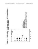 Allergoids Derived from Allergens diagram and image