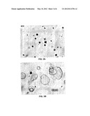 SUSTAINED-RELEASE DRUG CARRIER COMPOSITION diagram and image