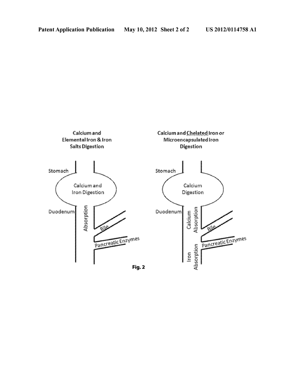 BEVERAGE FOR PREGNANCY & LACTATION - diagram, schematic, and image 03