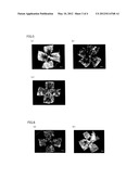 ANGIOGENESIS REGULATING COMPOSITION AND METHOD FOR REGULATING ANGIOGENESIS diagram and image