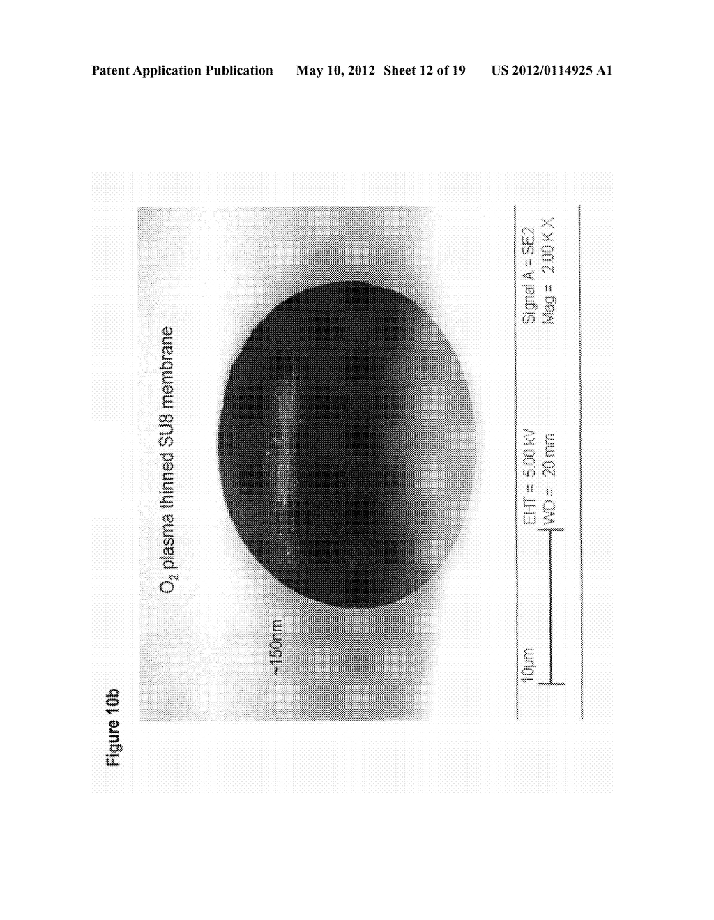 METHOD OF FABRICATING A MEMBRANE HAVING A TAPERED PORE - diagram, schematic, and image 13