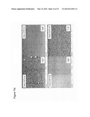 METHOD OF FABRICATING A MEMBRANE HAVING A TAPERED PORE diagram and image