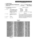 ELECTROPHORETIC DEPOSITION OF ADSORBENT MEDIA diagram and image