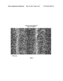 ELECTROPHORETIC DEPOSITION OF ADSORBENT MEDIA diagram and image