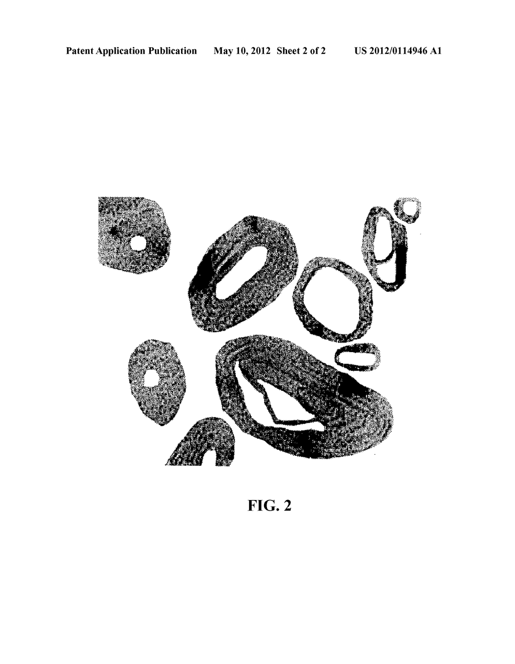 MULTI-LAYERED CARBON NANOPARTICLES OF THE FULLEROID TYPE - diagram, schematic, and image 03