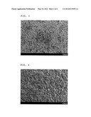 MAGNETIC CARRIER FOR ELECTROPHOTOGRAPHIC DEVELOPER AND PROCESS FOR     PRODUCING THE SAME, AND TWO-COMPONENT SYSTEM DEVELOPER diagram and image