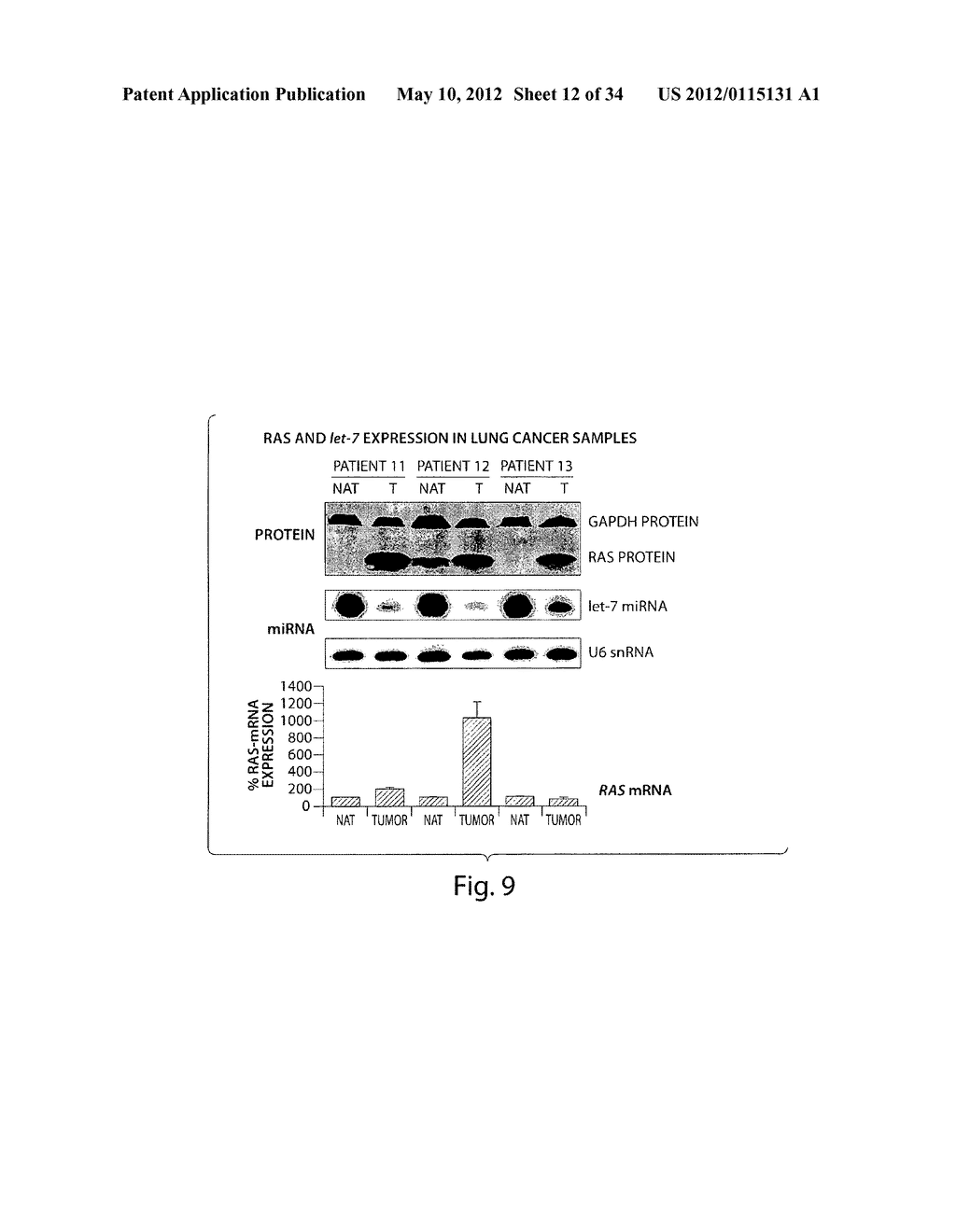 GENETIC LESION ASSOCIATED WITH CANCER - diagram, schematic, and image 13