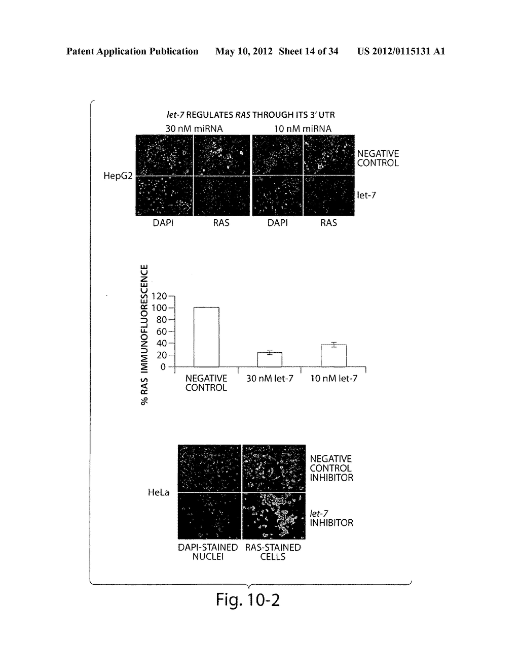 GENETIC LESION ASSOCIATED WITH CANCER - diagram, schematic, and image 15