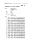 METHODS FOR DIAGNOSIS AND PROGNOSIS OF CANCER diagram and image