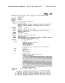 METHODS FOR DIAGNOSIS AND PROGNOSIS OF CANCER diagram and image