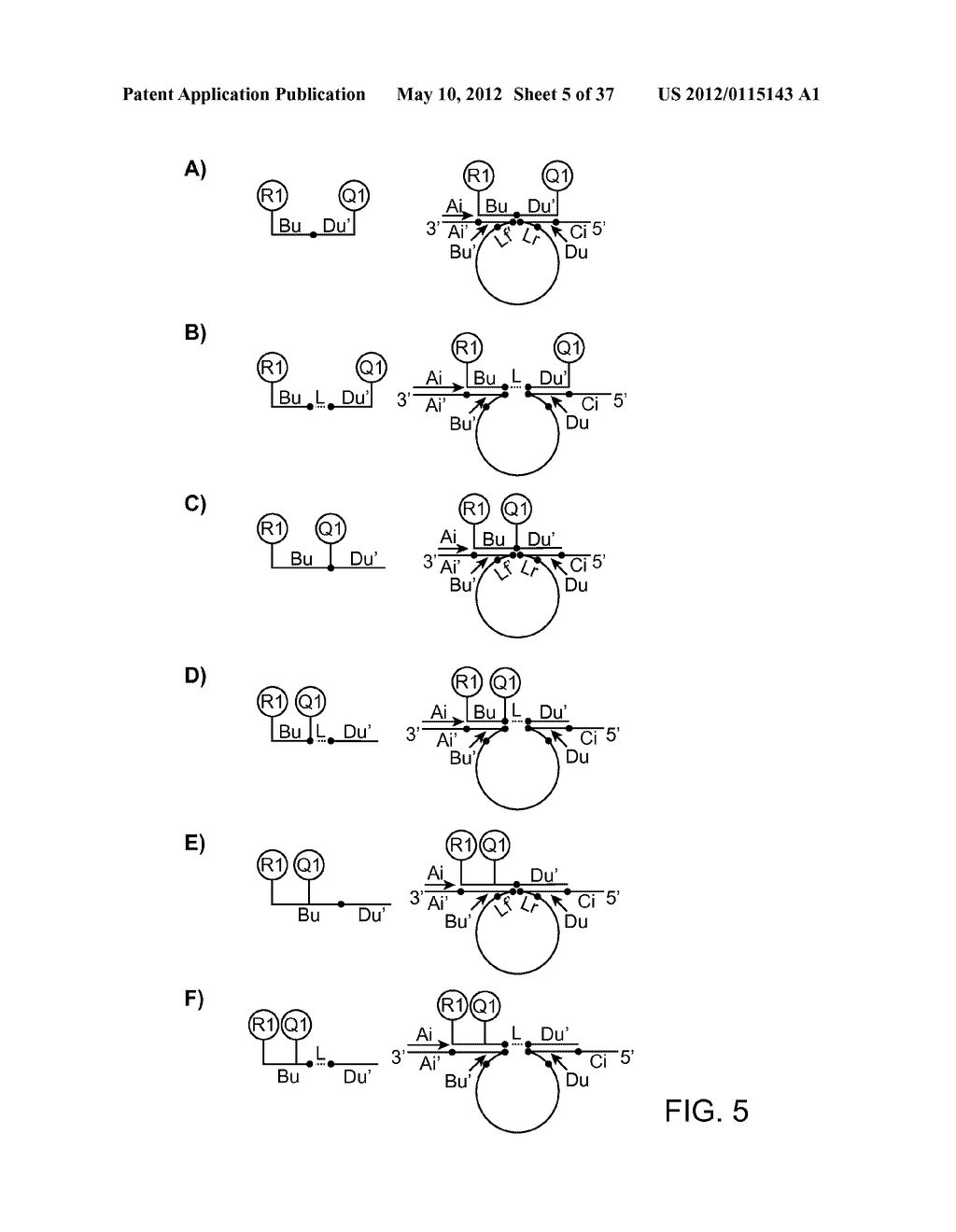 Universal Probe Assay Methods - diagram, schematic, and image 06