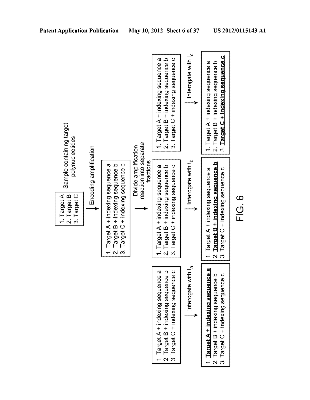 Universal Probe Assay Methods - diagram, schematic, and image 07