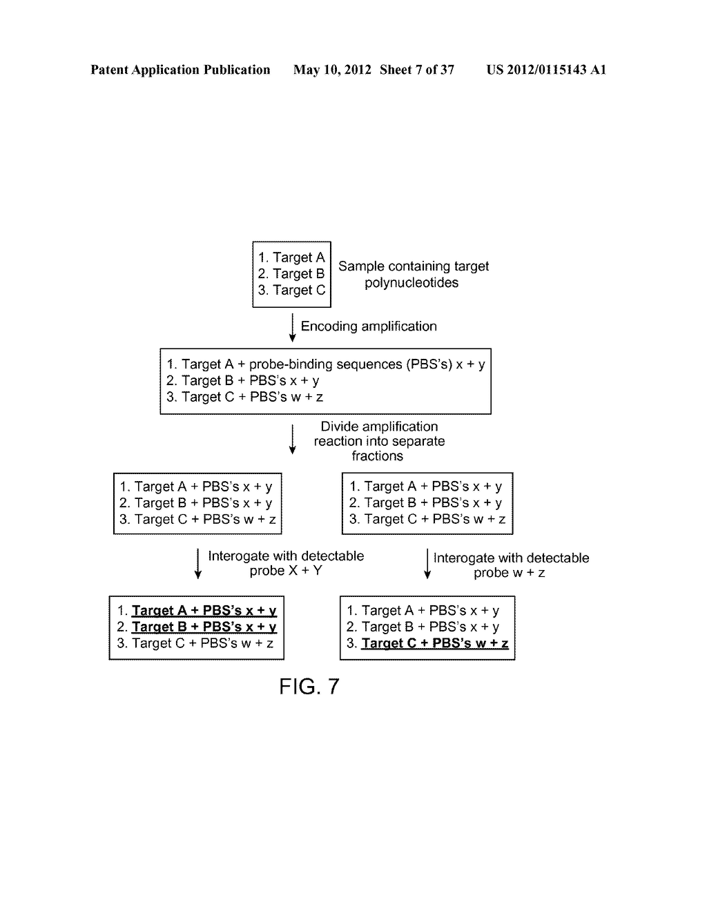 Universal Probe Assay Methods - diagram, schematic, and image 08