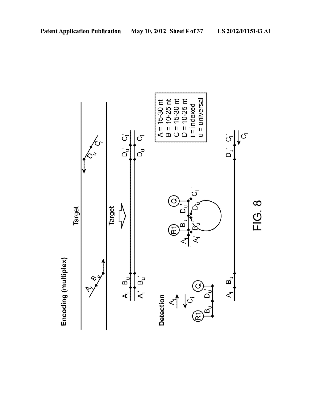 Universal Probe Assay Methods - diagram, schematic, and image 09