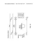 Universal Probe Assay Methods diagram and image