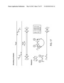 Universal Probe Assay Methods diagram and image