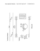 Universal Probe Assay Methods diagram and image