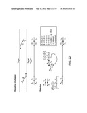 Universal Probe Assay Methods diagram and image