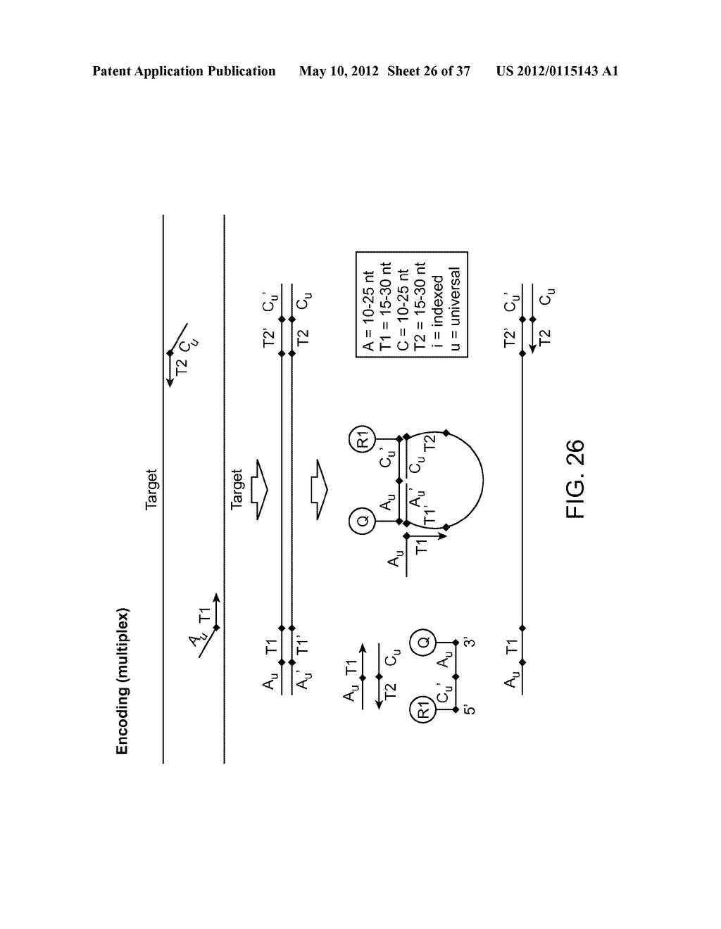 Universal Probe Assay Methods - diagram, schematic, and image 27