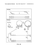 Universal Probe Assay Methods diagram and image