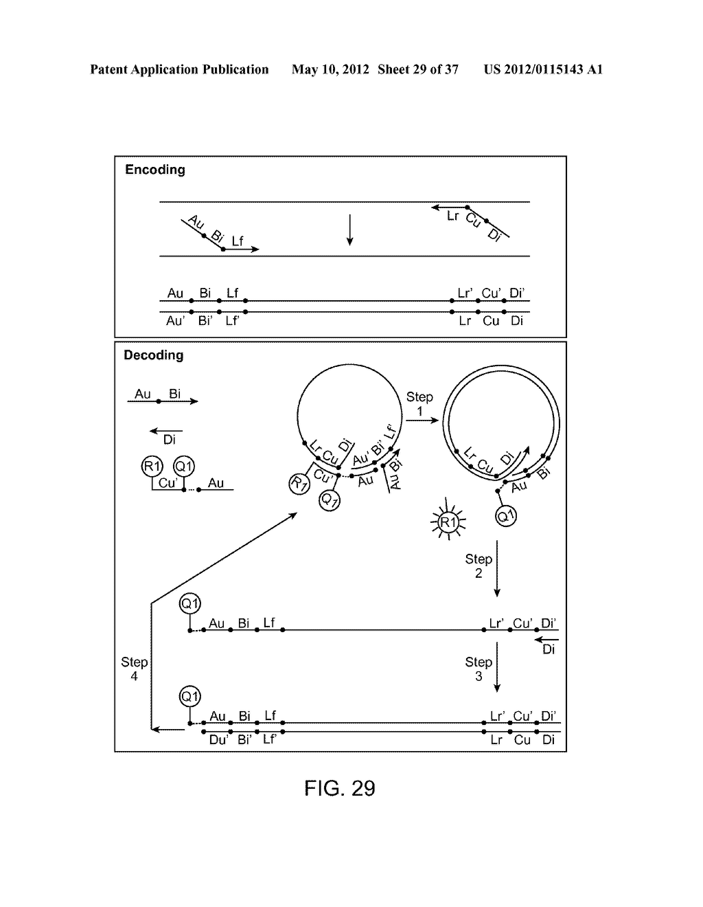 Universal Probe Assay Methods - diagram, schematic, and image 30