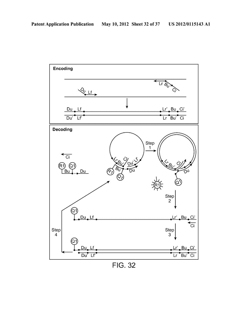 Universal Probe Assay Methods - diagram, schematic, and image 33