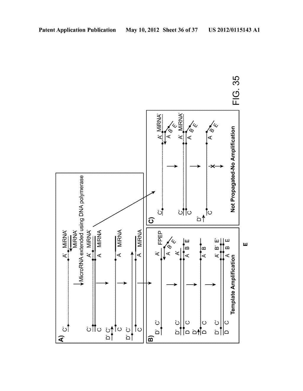 Universal Probe Assay Methods - diagram, schematic, and image 37