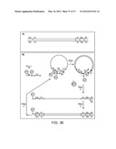 Universal Probe Assay Methods diagram and image