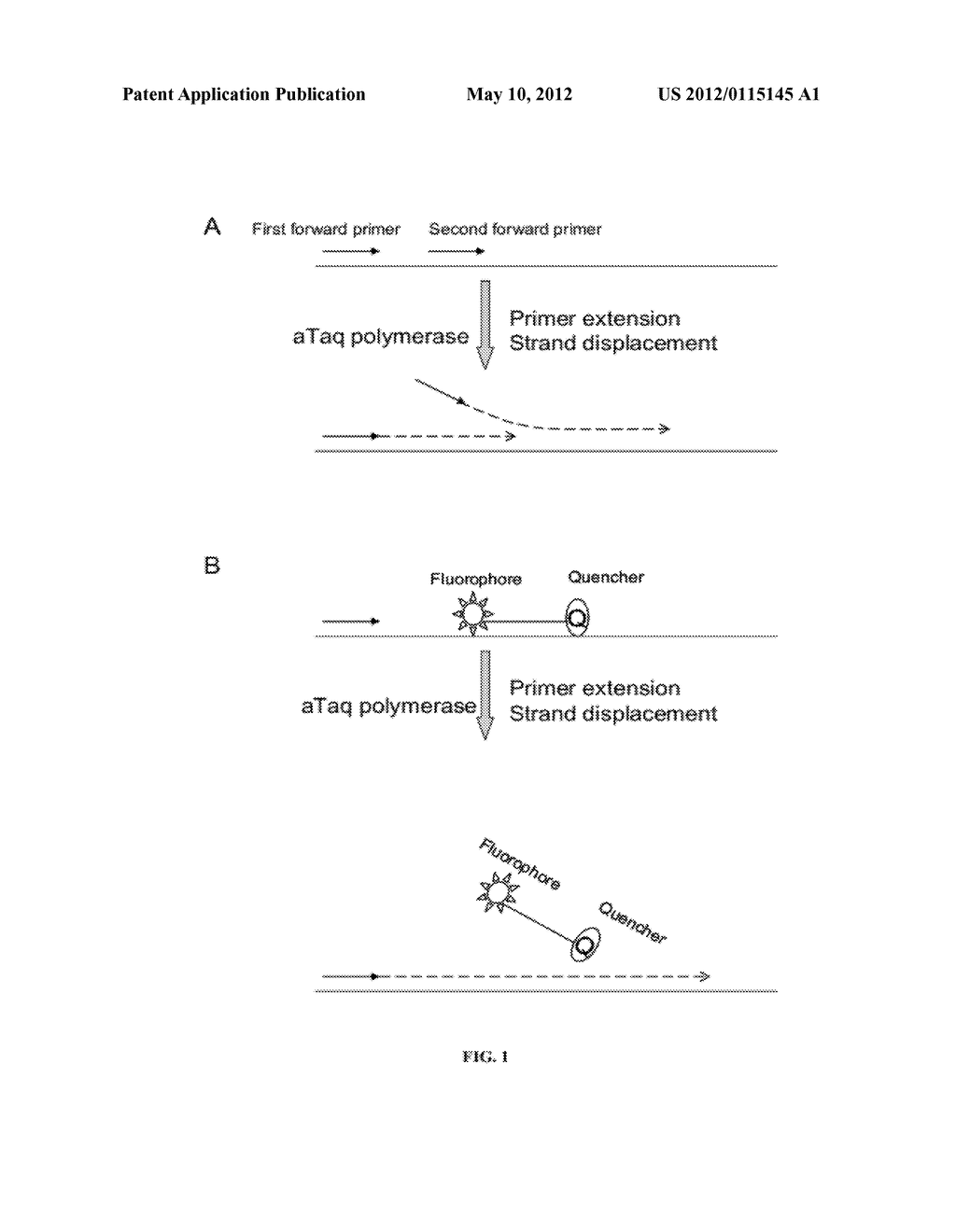 STRAND DISPLACEMENT ACTIVITY OF MODIFIED POLYMERASES AND USES THEREOF - diagram, schematic, and image 02