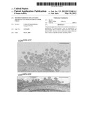 METHOD FOR DETECTING INVASIVE MICROVESCLES DERIVED FROM TUMOR CELLS diagram and image