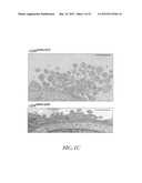 METHOD FOR DETECTING INVASIVE MICROVESCLES DERIVED FROM TUMOR CELLS diagram and image