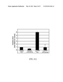 METHOD FOR DETECTING INVASIVE MICROVESCLES DERIVED FROM TUMOR CELLS diagram and image