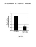 METHOD FOR DETECTING INVASIVE MICROVESCLES DERIVED FROM TUMOR CELLS diagram and image