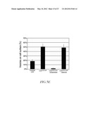 METHOD FOR DETECTING INVASIVE MICROVESCLES DERIVED FROM TUMOR CELLS diagram and image