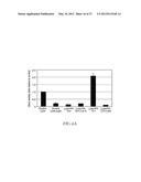 METHOD FOR DETECTING INVASIVE MICROVESCLES DERIVED FROM TUMOR CELLS diagram and image