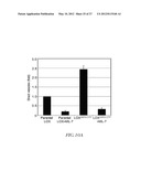 METHOD FOR DETECTING INVASIVE MICROVESCLES DERIVED FROM TUMOR CELLS diagram and image